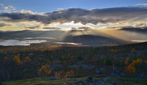 Фото: Oleg Filonok, CC BY-SA 4.0 https://creativecommons.org/licenses/by-sa/4.0, via Wikimedia Commons