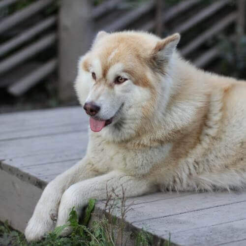 Фото от партнёра.