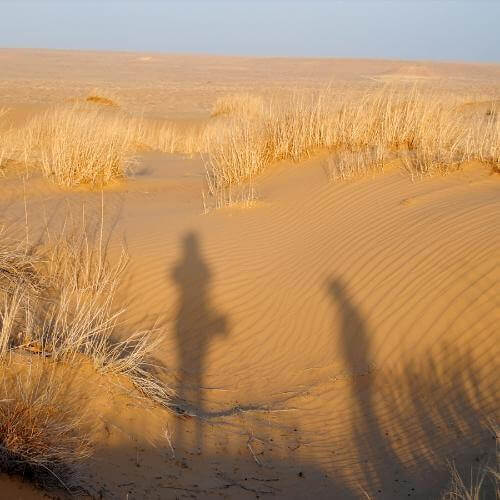 Фото от партнёра.