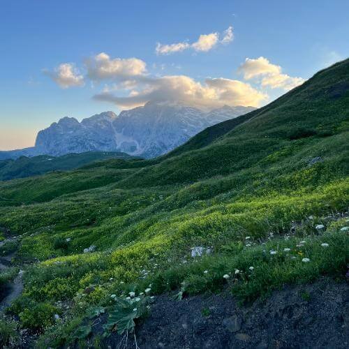 Фото: от партнёра