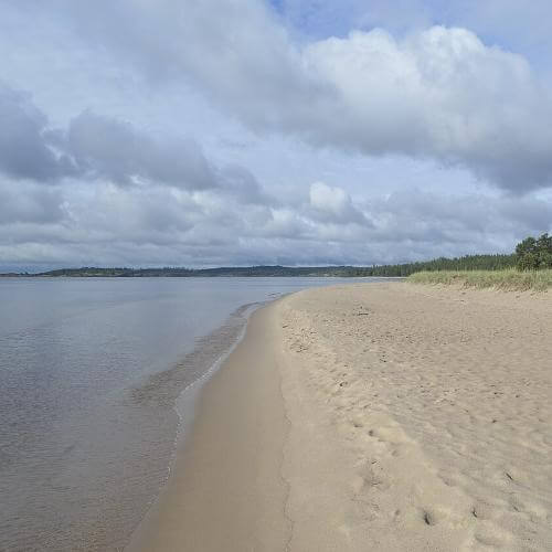 Фото: groshev1971, CC BY-SA 3.0 https://creativecommons.org/licenses/by-sa/3.0, via Wikimedia Commons