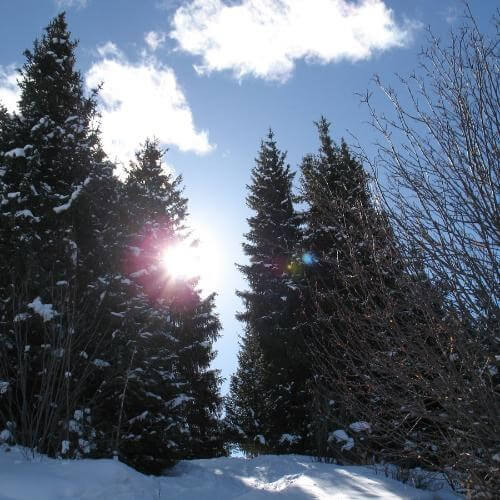 Фото от партнёра.