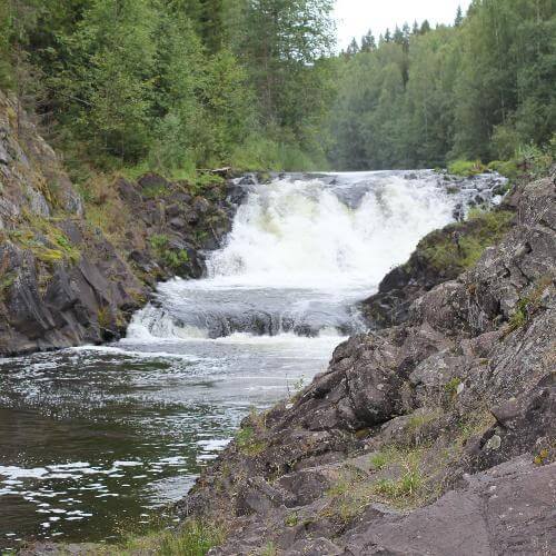 Фото от партнёра.