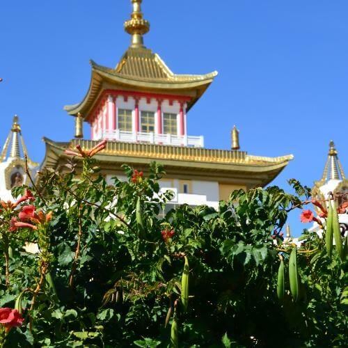 Фото: Александр Попрыгин, CC BY 3.0 https://creativecommons.org/licenses/by/3.0, через Викисклад