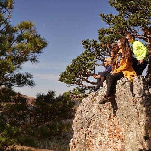 Фото: от партнёра