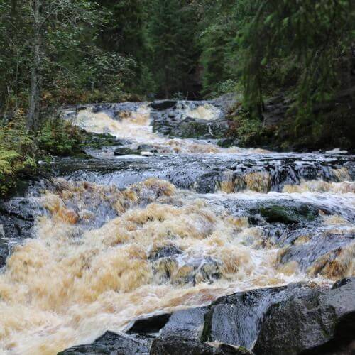 Фото от партнёра.