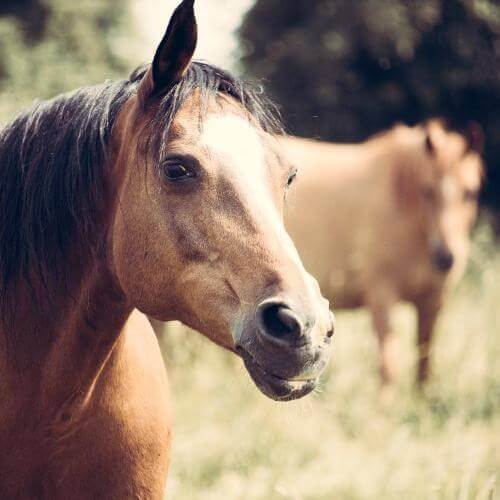 Источник: Pexels