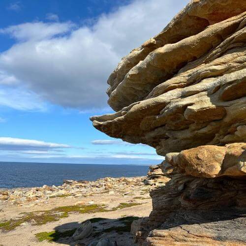 Фото: от партнера