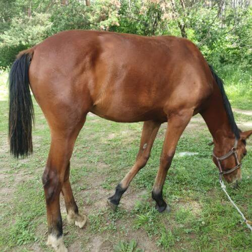 Фото: от партнёра.