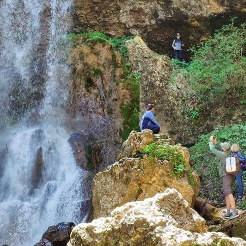 Фото: от партнёра.