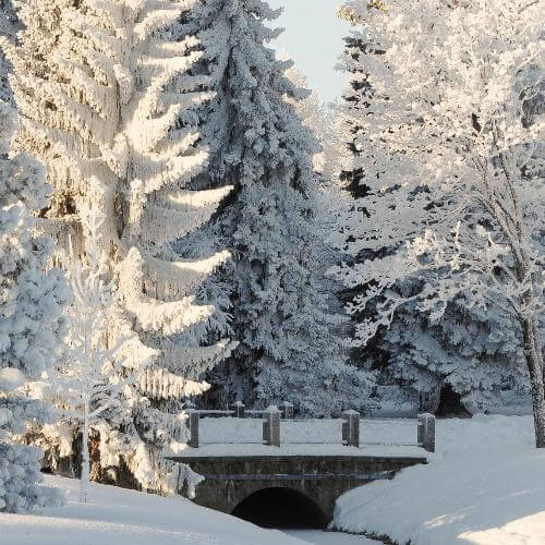 Источник: Pixabay