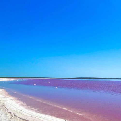 Фото от партнёра.