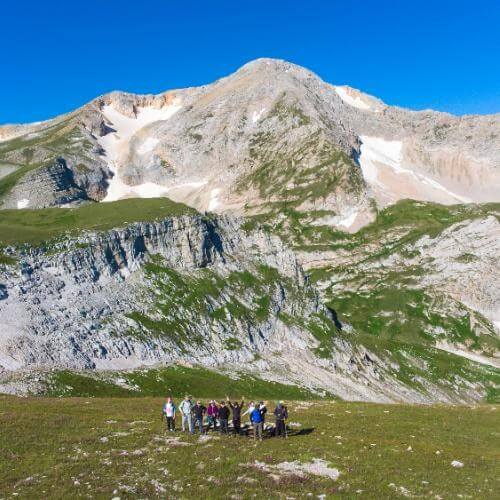 Фото: от партнёра.