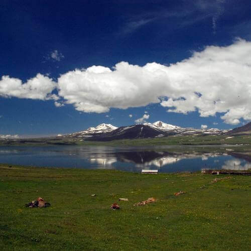 Фото: Jelger Groeneveld, CC BY 2.0 https://creativecommons.org/licenses/by/2.0, via Wikimedia Commons