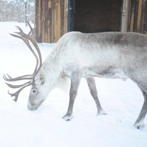   Фото: от партнёра.       