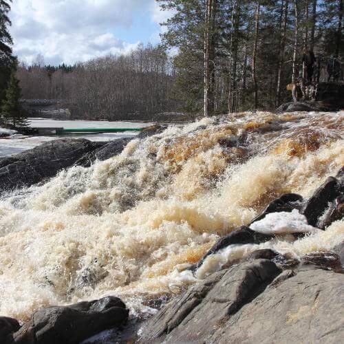 Фото от партнёра.