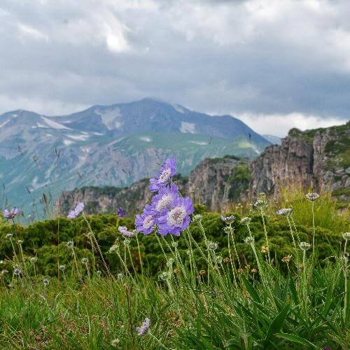 Фото: от партнёра