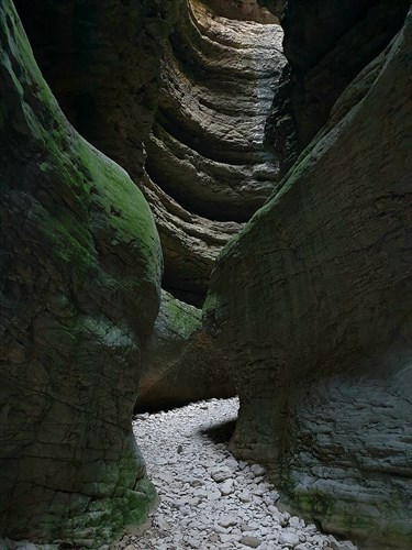 Фото: Ranenayavesna, CC BY-SA 4.0 https://creativecommons.org/licenses/by-sa/4.0, via Wikimedia Commons