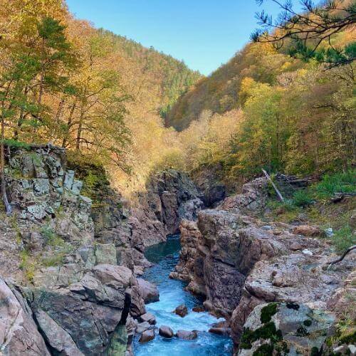 Фото: от партнёра.