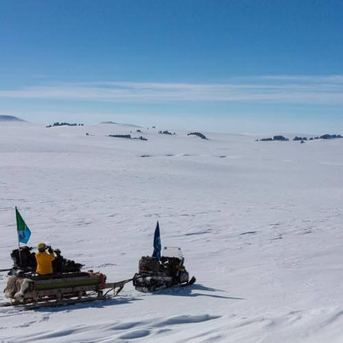 Фото от партнёра.