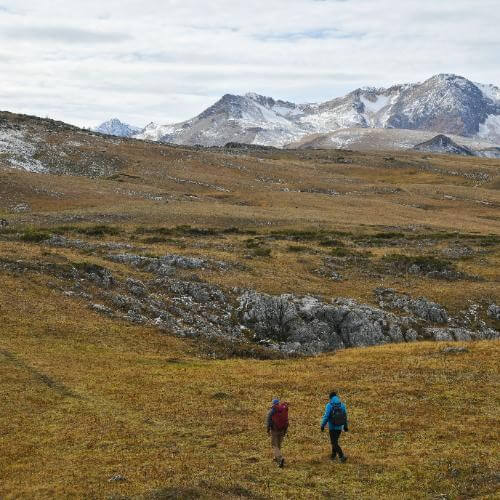 Фото: от партнёра.