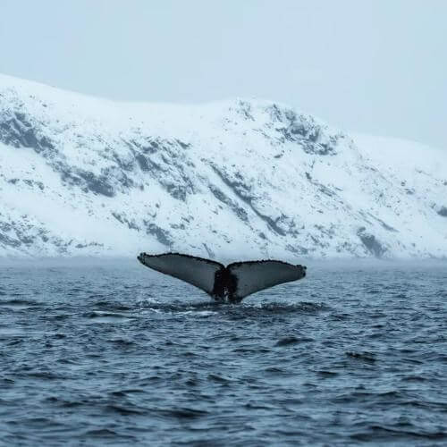 Фото от партнёра.