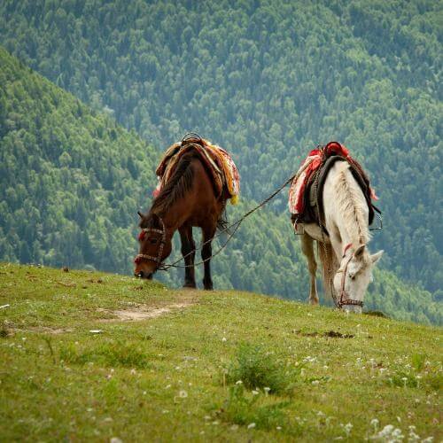 Фото: Richard Wang на Unsplash