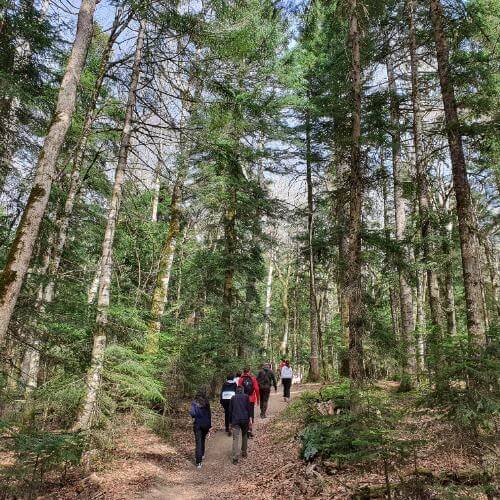 Фото: от партнёра.