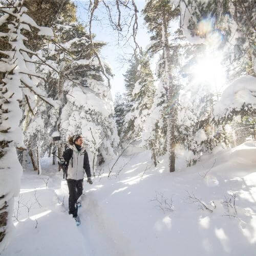 Фото от партнёра.