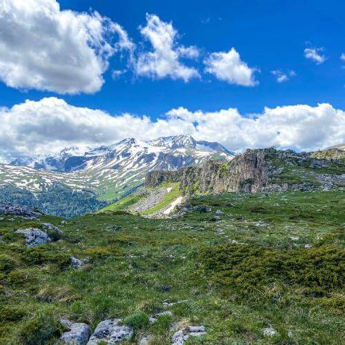 Фото: от партнёра