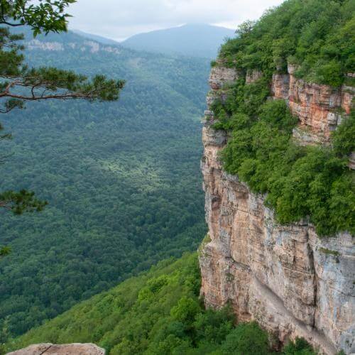 Фото: от партнёра