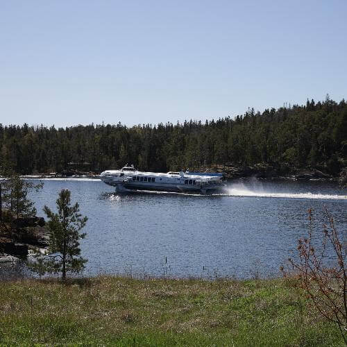 Фото от партнёра.