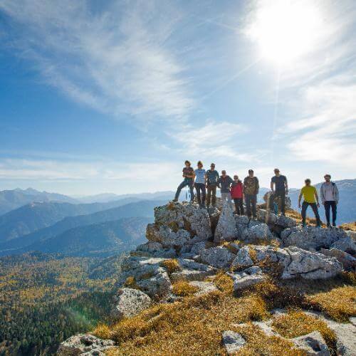 Фото: от партнёра.