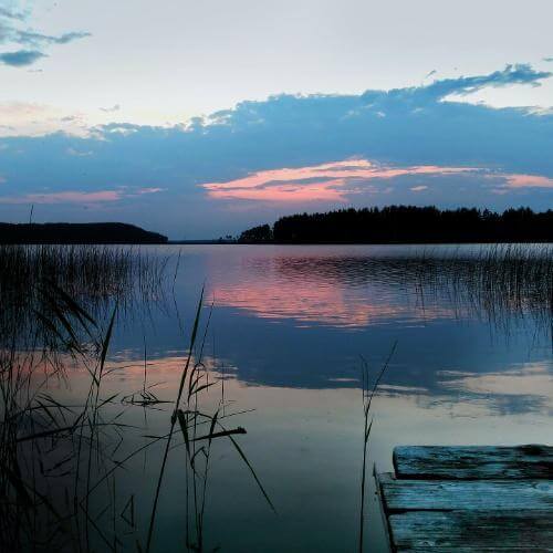 Фото: Alenka Elk, CC BY-SA 4.0 https://creativecommons.org/licenses/by-sa/4.0, via Wikimedia Commons