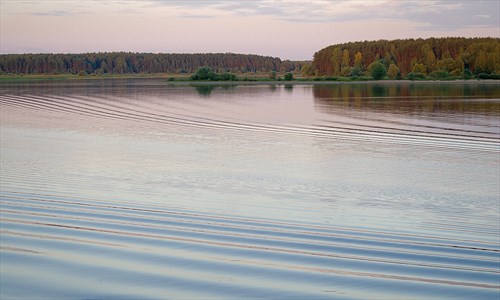 Фото: Katya / Wikimedia Commons (CC BY 2.0)