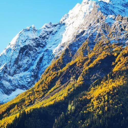 Фото от партнёра.