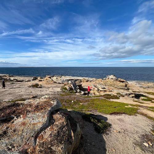 Фото: от партнера