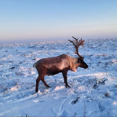 Источник: от партнёра        