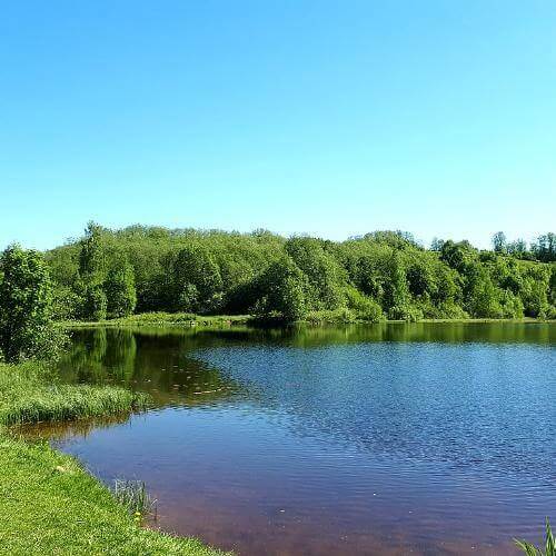 Токсово. Озеро Вероярви. GAlexandrova, CC BY-SA 4.0 https://creativecommons.org/licenses/by-sa/4.0, via Wikimedia Commons