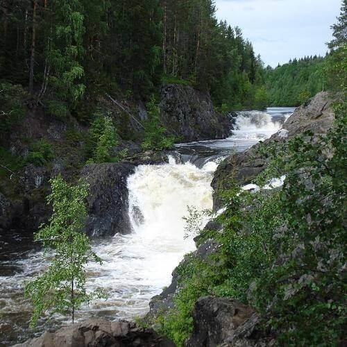 Фото: Алексия Косенко, CC BY-SA 4.0 https://creativecommons.org/licenses/by-sa/4.0, via Wikimedia Commons
