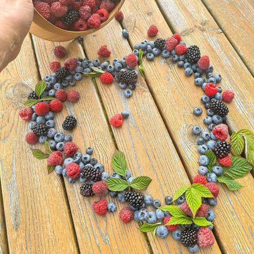 Ягодная ферма. Фото от партнёра.