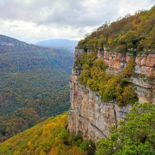 Фото: от партнёра.