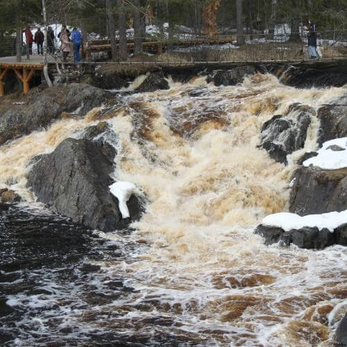 Фото: от партнёра.   