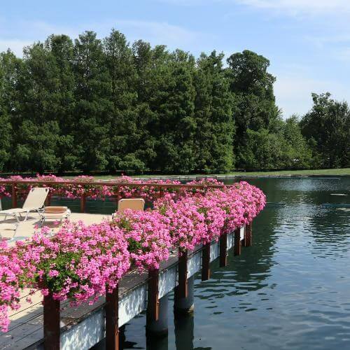 Источник: Unsplash