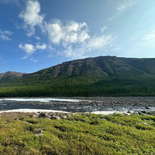 Фото: от партнера