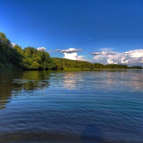 Фото: Svetlana Besp, CC BY-SA 4.0 https://creativecommons.org/licenses/by-sa/4.0, via Wikimedia Commons