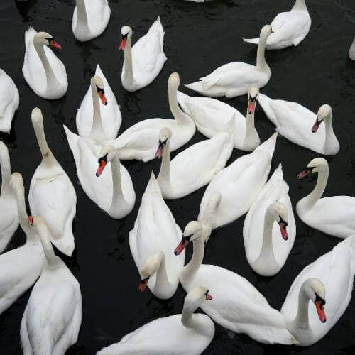 Источник: Unsplash