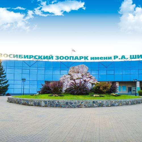 Фото: Центр регионального развития Новосибирской области