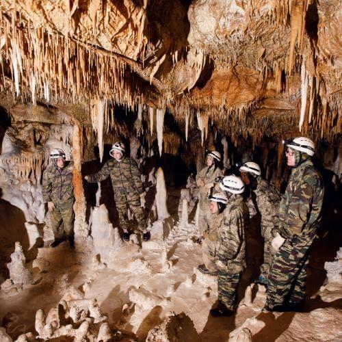 Фото: от партнёра.