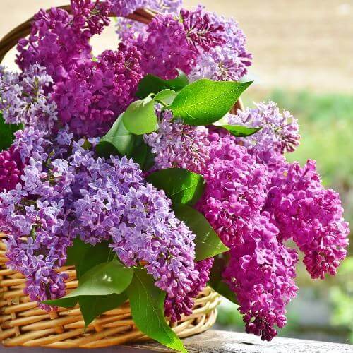 Источник: Pixabay